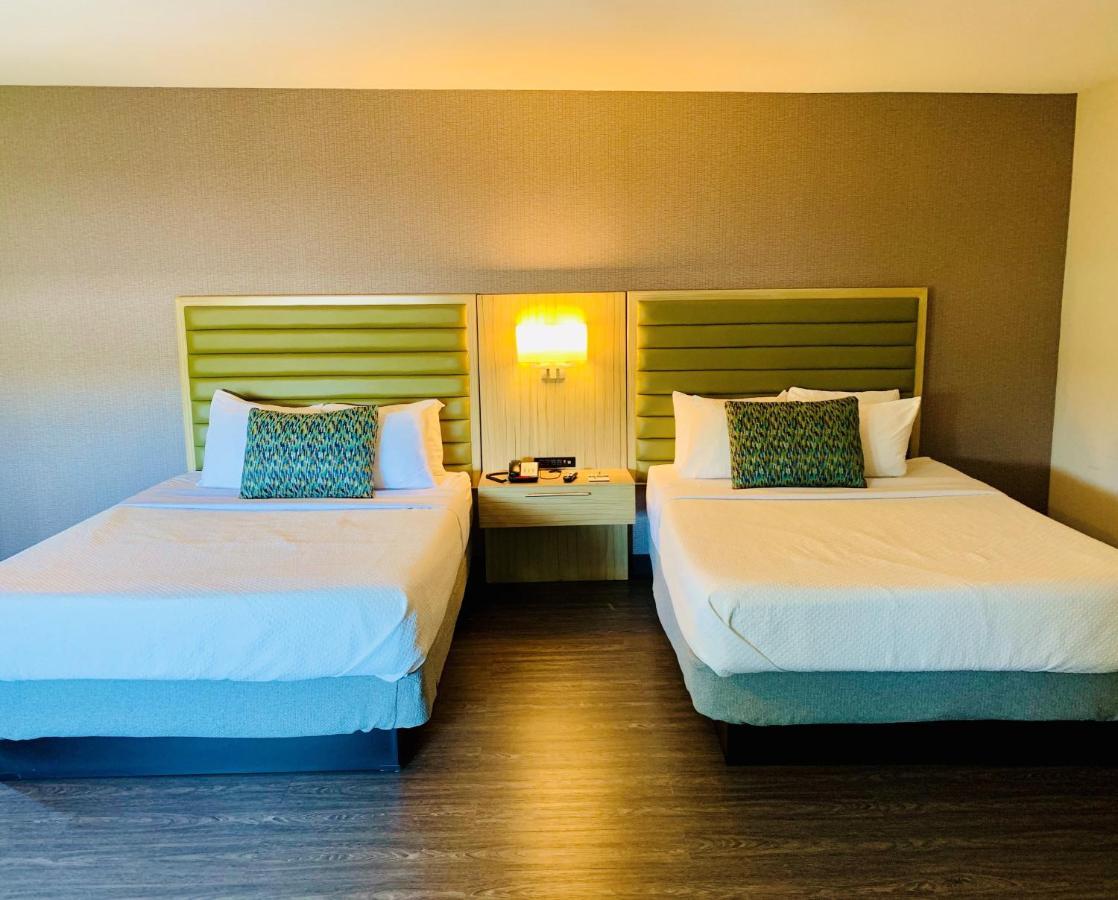Hotel Greentree 3*